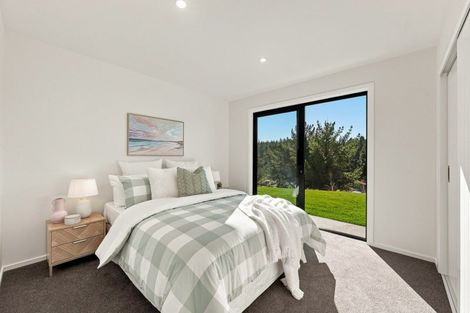 Photo of property in 133a Letts Gully Road, Letts Gully, Alexandra, 9393