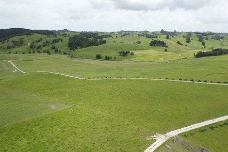 Photo of property in 139 Poyner Road, Ararua, Matakohe, 0594