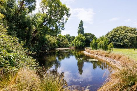Photo of property in 291 Napier Road, Kelvin Grove, Palmerston North, 4470