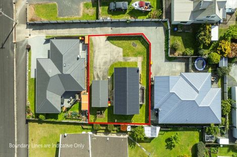 Photo of property in 22 Parry Palm Avenue, Waihi, 3610