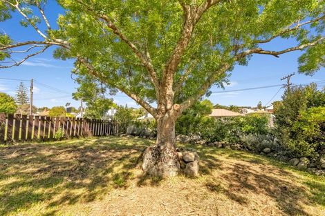 Photo of property in 38 Ranfurly Street, Dargaville, 0310