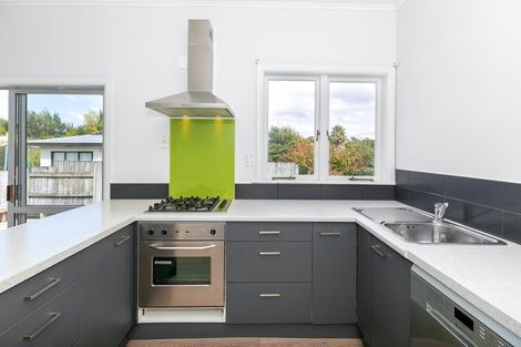 Photo of property in 19 Rata Street, Maeroa, Hamilton, 3200