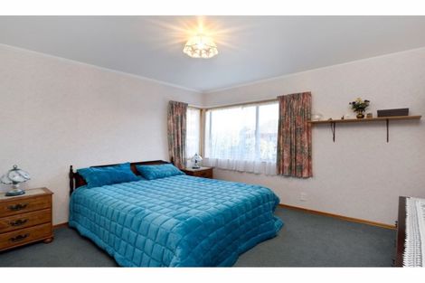 Photo of property in 28 Chelsea Avenue, Richmond, 7020