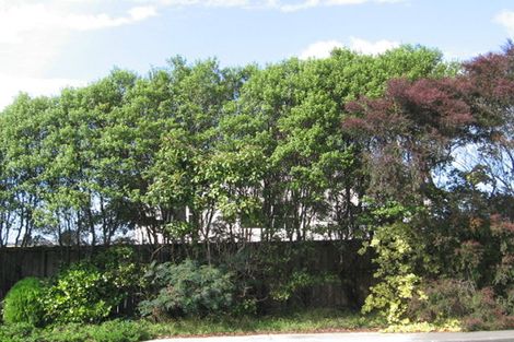 Photo of property in 127 Hobsonville Road, West Harbour, Auckland, 0618