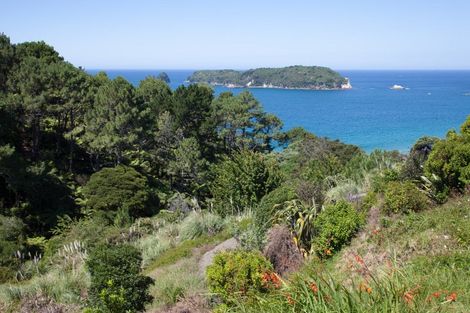 Photo of property in 94 Grange Road, Hahei, Whitianga, 3591