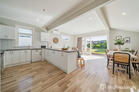 Photo of property in 17 Lincoln Avenue, Epuni, Lower Hutt, 5011