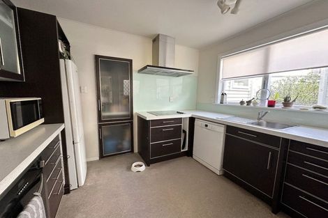 Photo of property in 41 Priscilla Crescent, Kingston, Wellington, 6021