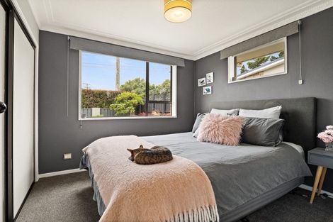 Photo of property in 1 Viscount Road, Waldronville, Dunedin, 9018