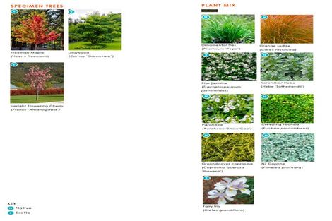 Photo of property in 209 Main North Road, Redwood, Christchurch, 8051