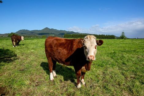 Photo of property in 296 Plymouth Road, Koru, New Plymouth, 4374