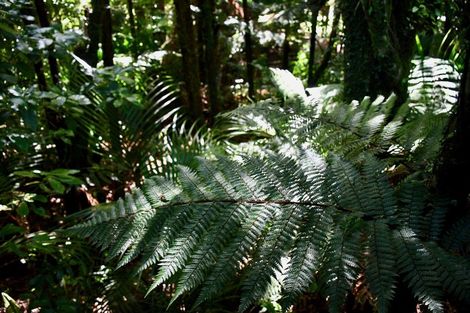 Photo of property in 21 Horncastle Crescent, Little Wanganui, Karamea, 7893