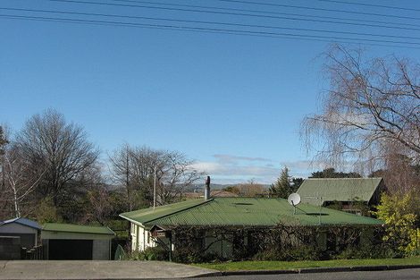 Photo of property in 113 Porangahau Road, Waipukurau, 4200