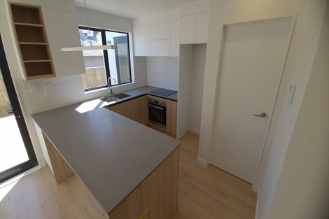 Photo of property in 15 Walsall Street, Addington, Christchurch, 8024