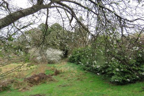 Photo of property in 5 London Street, Hampden, 9410