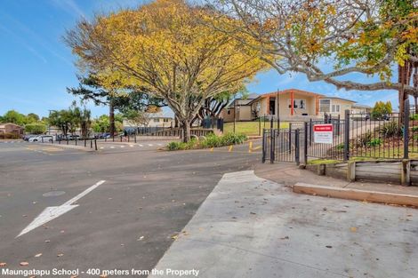 Photo of property in 23 Vine Avenue, Maungatapu, Tauranga, 3112