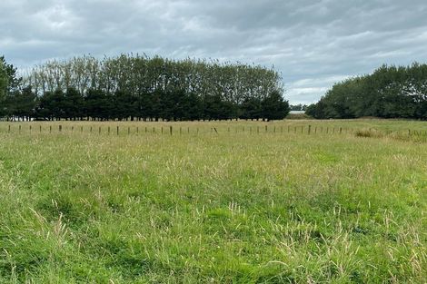 Photo of property in 156 Kawakawa Road, Feilding, 4775