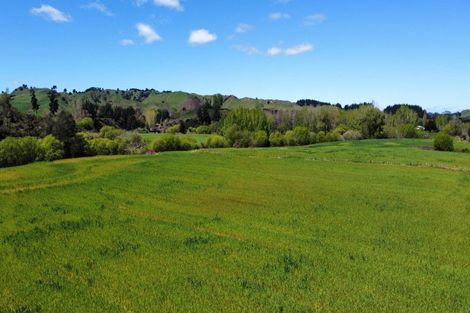 Photo of property in 6068 State Highway 4, Taumarunui, 3996