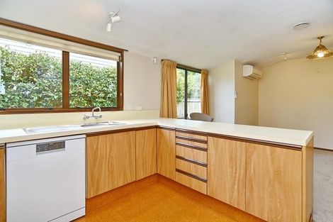 Photo of property in 44b Memorial Avenue, Ilam, Christchurch, 8053