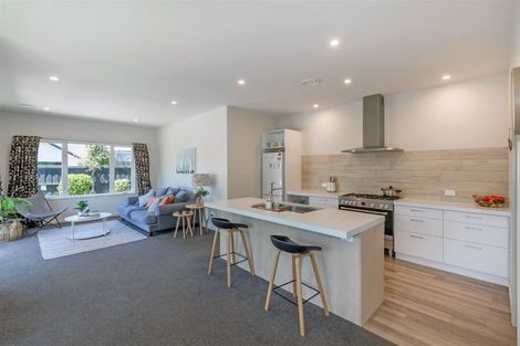 Photo of property in 597 Birchs Road, Lincoln, 7608