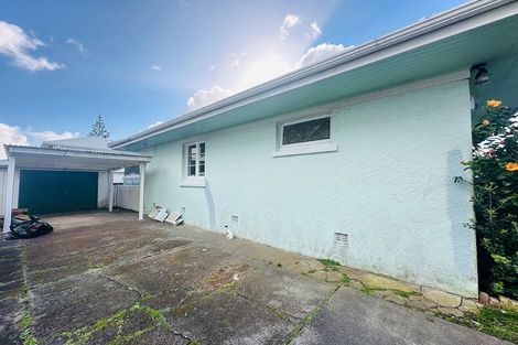 Photo of property in 271 Mount Albert Road, Wesley, Auckland, 1041