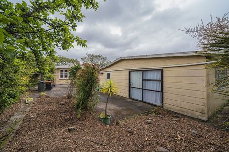 Photo of property in 351 Ruahine Street, Terrace End, Palmerston North, 4410