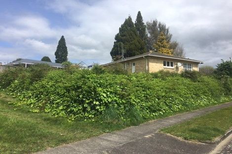 Photo of property in 3 View Street, Putaruru, 3411