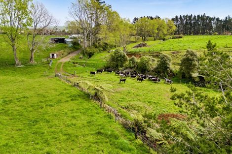 Photo of property in 32 Davis Road, Waiongana, Inglewood, 4389