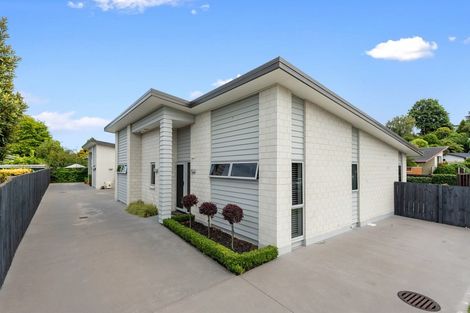 Photo of property in 1/50 Kowhai Street, Hamilton Lake, Hamilton, 3204