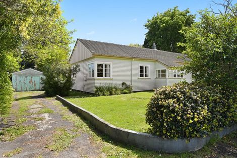 Photo of property in 15 Anglesea Street, Hamilton Central, Hamilton, 3204