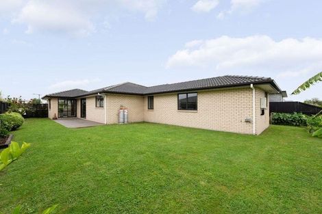 Photo of property in 31 Lulu Avenue, Chartwell, Hamilton, 3210