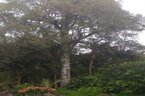 Photo of property in 826 Bickerstaffe Road, Maungaturoto, 0587