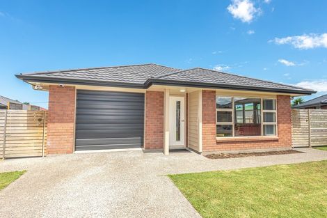 Photo of property in 22 Leicester Place, Springvale, Whanganui, 4501