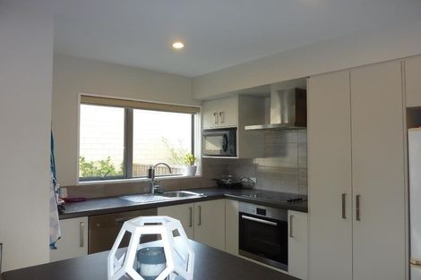 Photo of property in 28a Burke Street, Addington, Christchurch, 8024