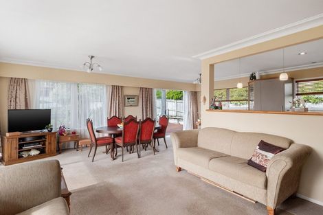 Photo of property in 29 Andrew Place, Otumoetai, Tauranga, 3110