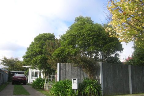 Photo of property in 29 Birmingham Street, Takaro, Palmerston North, 4412