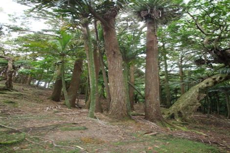 Photo of property in 1267 Church Road, Kaingaroa, Kaitaia, 0482