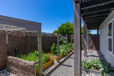 Photo of property in 120 Rarangi Beach Road, Rarangi, Blenheim, 7273