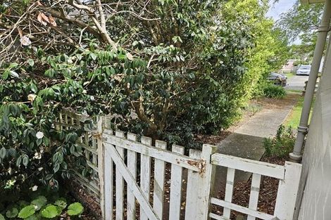 Photo of property in 41 Ihle Street, Terrace End, Palmerston North, 4410