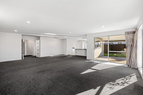 Photo of property in 19 Craig Thompson Drive, Lincoln, 7608