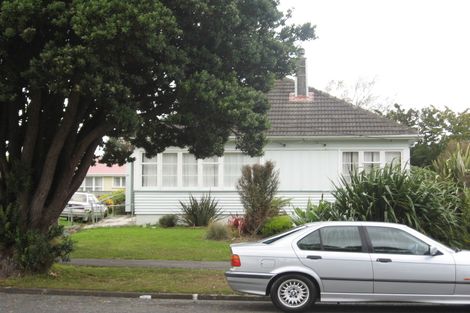 Photo of property in 25 Mitchell Street, Epuni, Lower Hutt, 5011