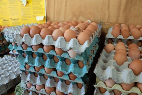 Photo of property in 596 Frasers Road, Maronan, Ashburton, 7778