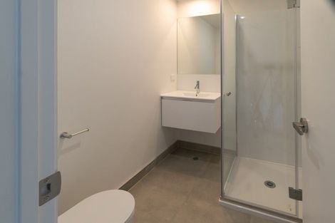 Photo of property in 20 Clay Works Lane, New Lynn, 0600