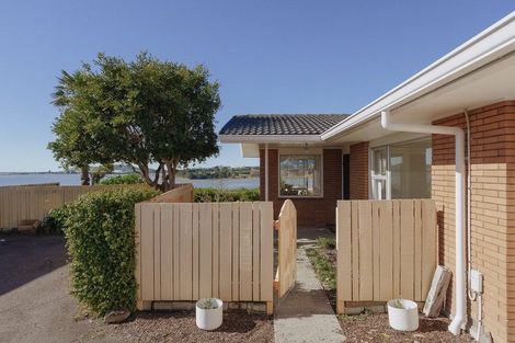 Photo of property in 77 Te Hono Street, Maungatapu, Tauranga, 3112