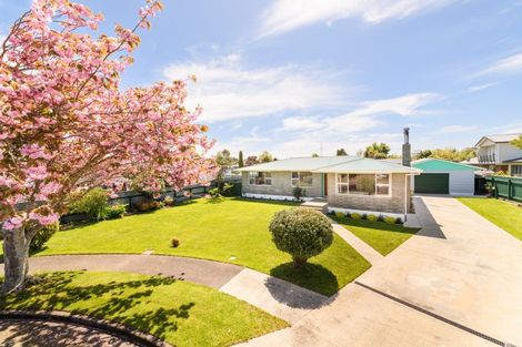 Photo of property in 9 Cheviot Place, Feilding, 4702