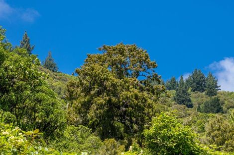 Photo of property in 185 Kanuka Rise, Wakapuaka, Nelson, 7071