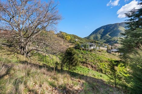 Photo of property in 19b Dorset Street, Picton, 7220