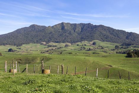 Photo of property in 58 Munns Road, Raglan, 3296