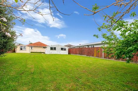 Photo of property in 40 Edwards Avenue, Henderson, Auckland, 0610