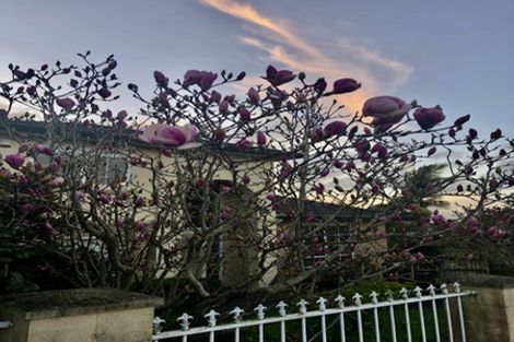 Photo of property in 91 Somerville Road, Somerville, Auckland, 2014