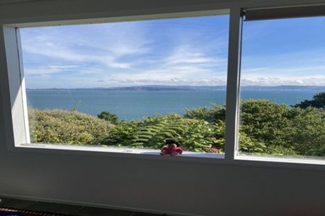 Photo of property in 39a Waitohu Road, York Bay, Lower Hutt, 5013
